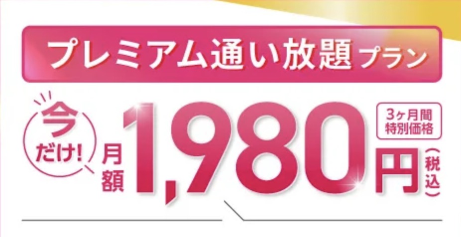 LAVAの先着50名限定!今だけ月額1,980円プランはこちら